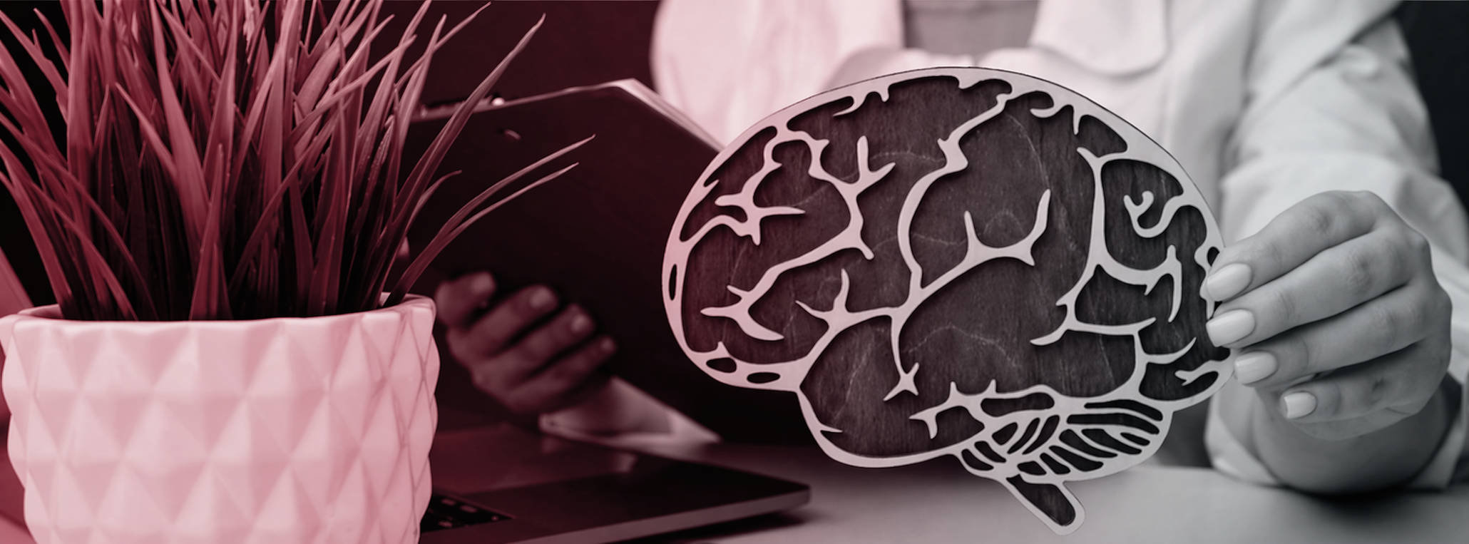 Socios Honorarios APM